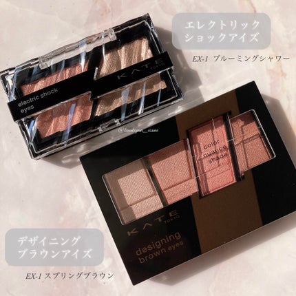 デザイニングブラウンアイズ/KATE/アイシャドウパレットを使ったクチコミ(2枚目)