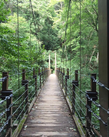 だりちゃん on LIPS 「⛰登山が好き⛰〜お金のかからない趣味〜雑談です。登山が好きな私..」（2枚目）