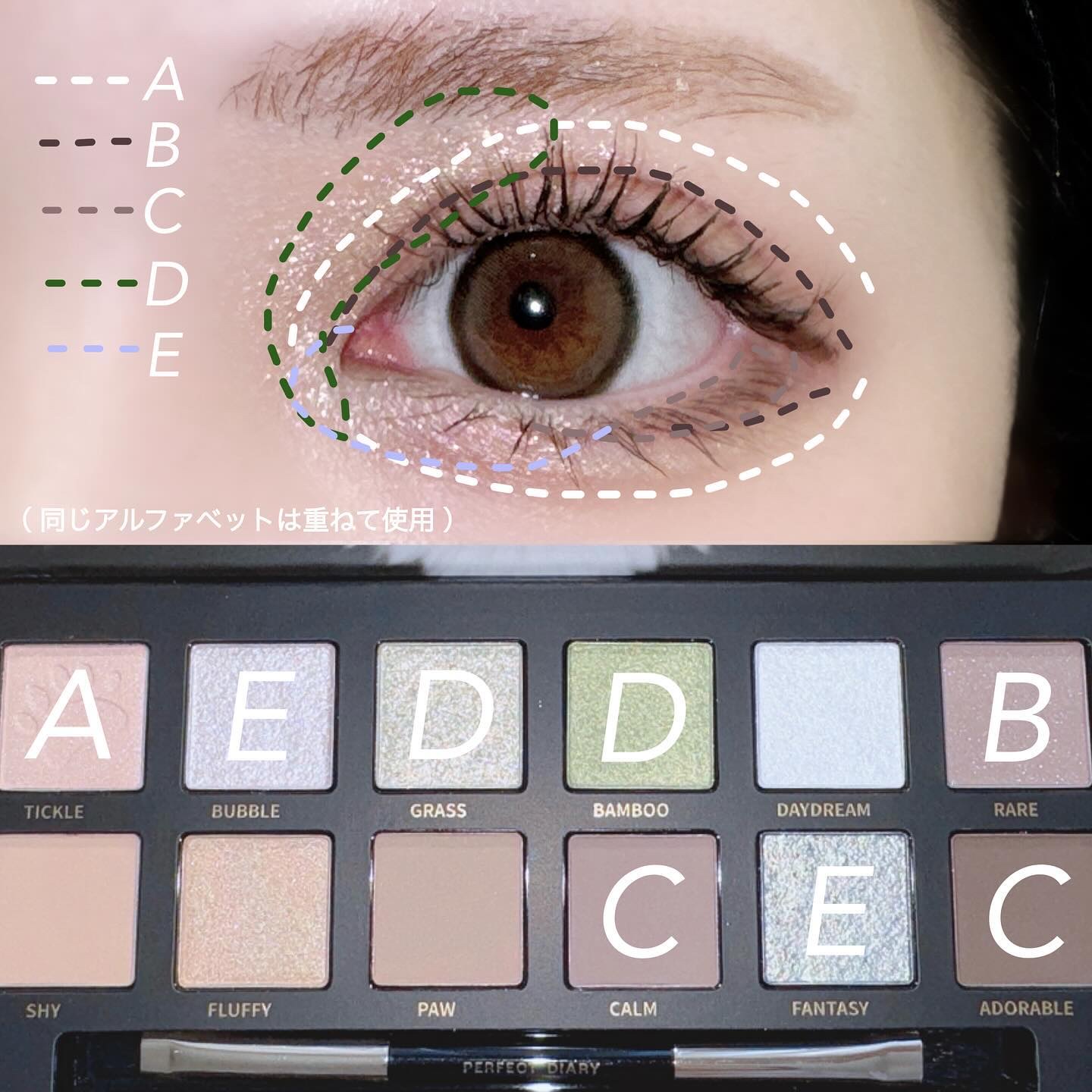 2024年夏新作アイシャドウパレット】エクスプローラ12色 動物アイ