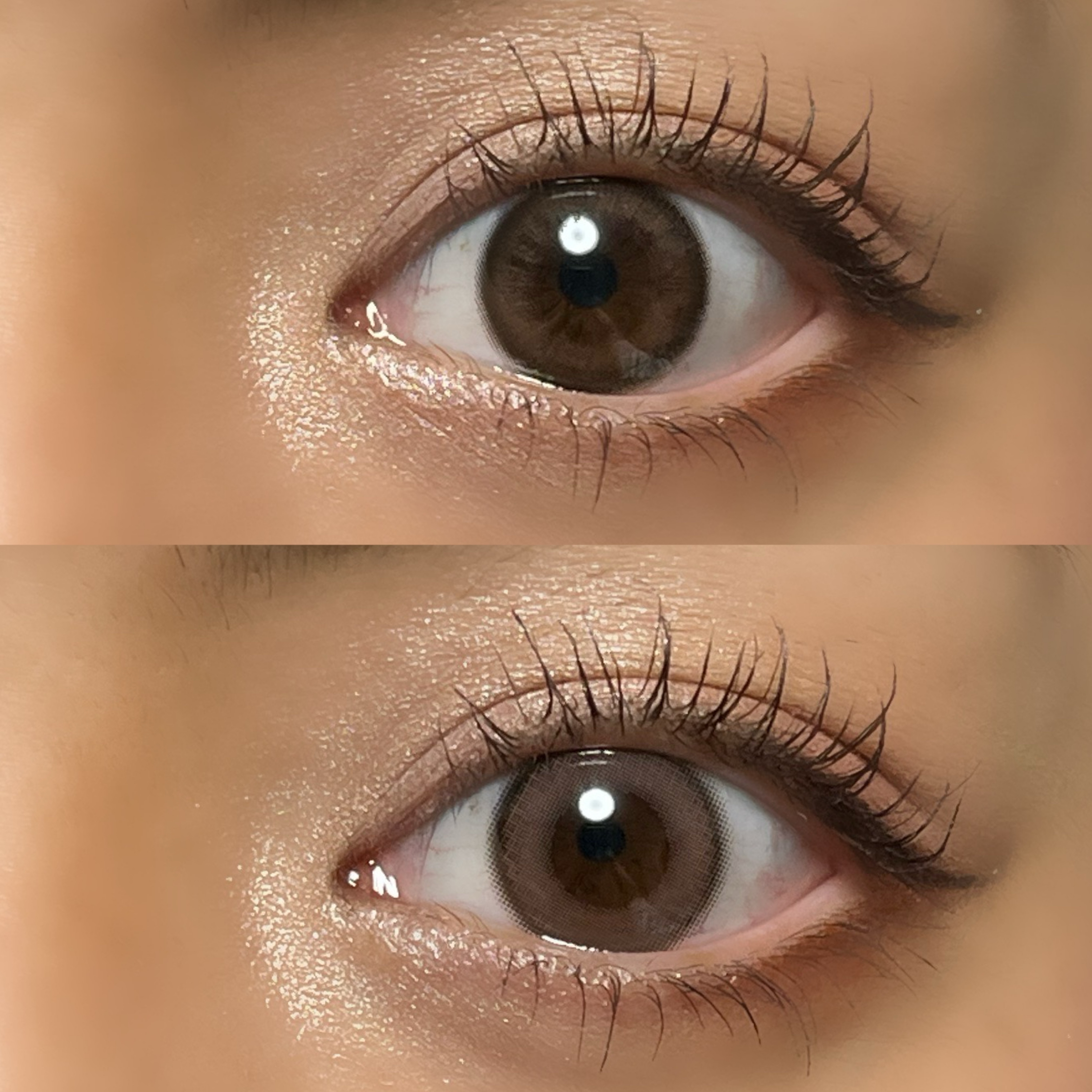 エバーカラーワンデー ナチュラル｜エバーカラーのカラコンレポ・着画