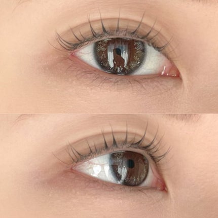 OvE(オヴィ) 1day OvE 3/OvE/ワンデー(1DAY)カラコンの画像