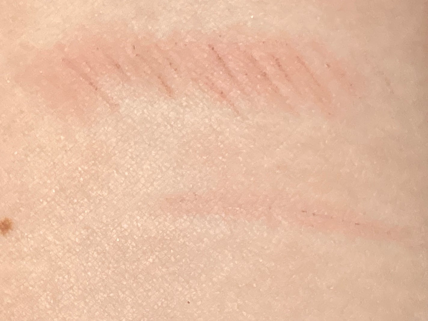 ピュア チーク カラー/heme/パウダーチークを使ったクチコミ(9枚目)