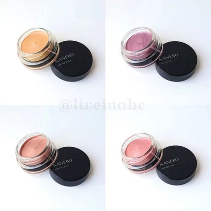 レイヤードカラーズアイシャドウ/KANEBO/アイシャドウパレットを使ったクチコミ(10枚目)