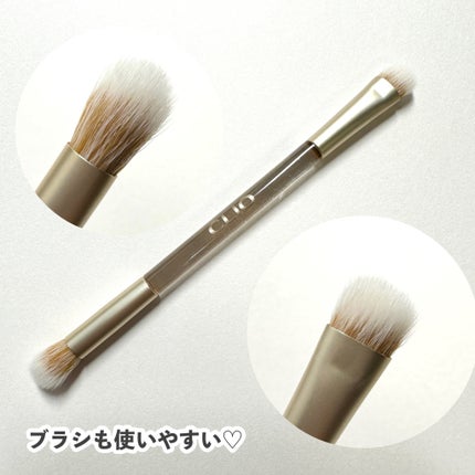 プロ アイ パレット/CLIO/アイシャドウパレットを使ったクチコミ(9枚目)