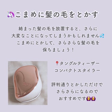 コンパクトスタイラー/TANGLE TEEZER/ヘアブラシを使ったクチコミ（3枚目）