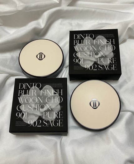 ブラーフィニッシュ雲楚クッション/Dinto/クッションファンデーションを使ったクチコミ(2枚目)
