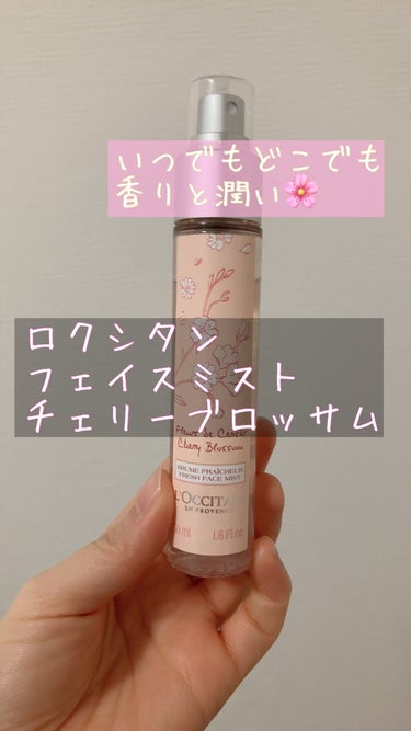 L'OCCITANE チェリーブロッサム  フレグランスミストのクチコミ「✼••┈┈••✼••┈┈••✼••┈┈••✼••┈┈••✼
L'OCCITANE
チェリーブロ.....」（1枚目）