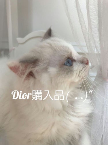 ディオールスキン フォーエヴァー グロウ クッション 1N ニュートラル/Dior/クッションファンデーションを使ったクチコミ（1枚目）