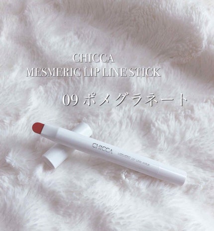 メスメリック リップラインスティック/CHICCA/リップライナーを使ったクチコミ(1枚目)