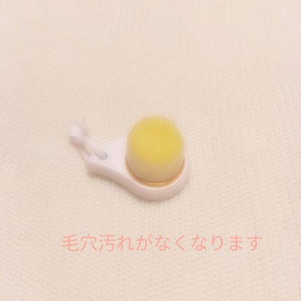 リッチホイップブラシ/SHOBIDO/その他スキンケアグッズを使ったクチコミ(1枚目)