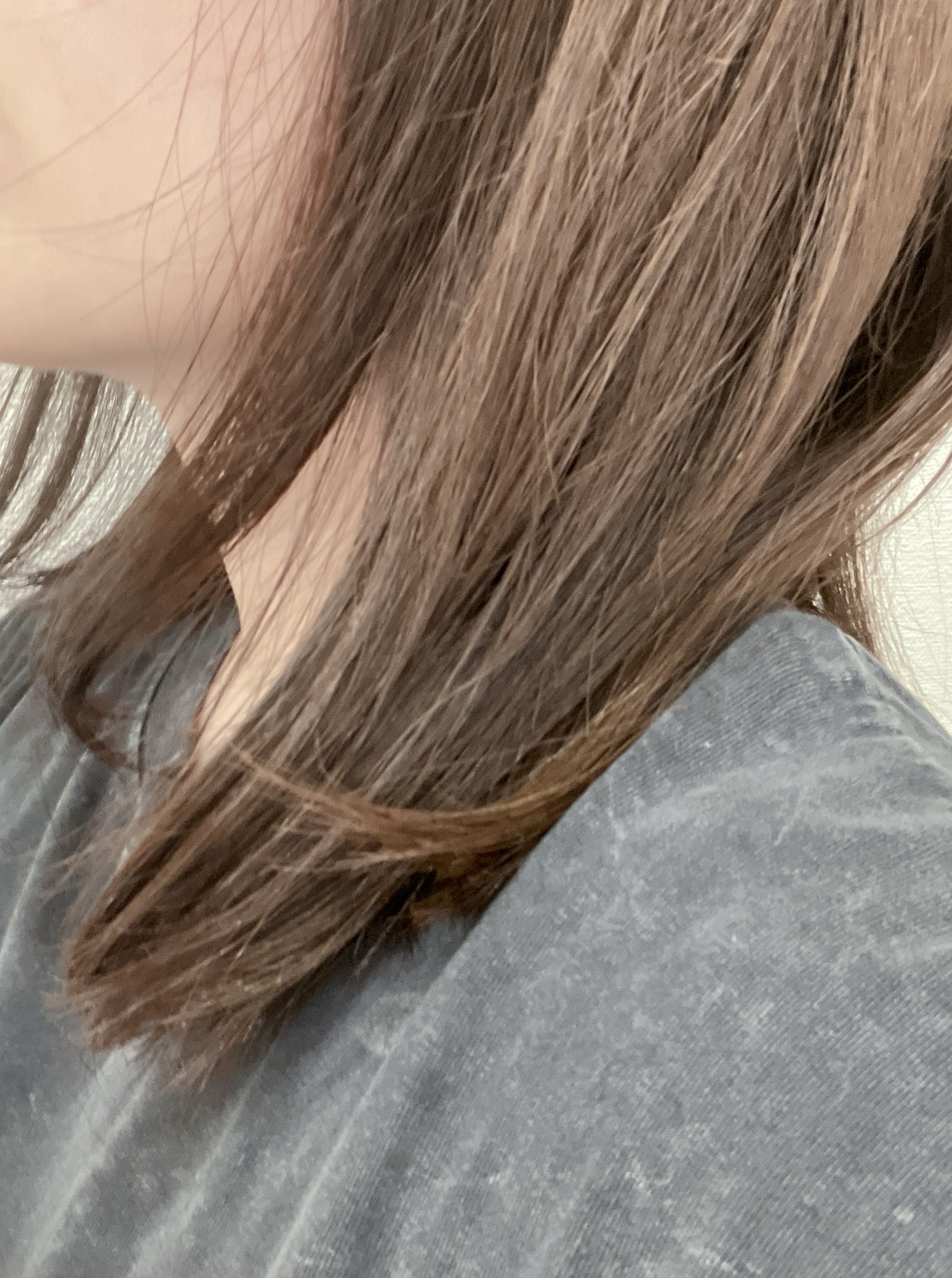 碧　モイストオイル〈金木犀〉/碧(ao)/アウトバストリートメントを使ったクチコミ（3枚目）