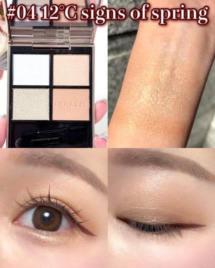 ルナソル アイカラーレーションN/LUNASOL/アイシャドウパレットを使ったクチコミ(5枚目)