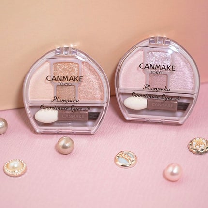 プランぷくコーデアイズ/キャンメイク/パウダーアイシャドウを使ったクチコミ(1枚目)