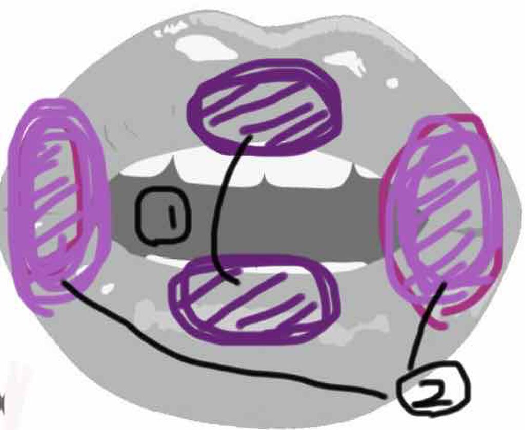 リップスティック/M・A・C/口紅を使ったクチコミ(3枚目)