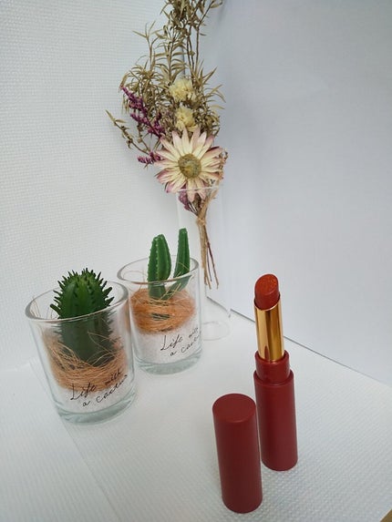 エテュセ リップエディション(ティントルージュ) 06 ブリックレッド/ettusais/リップティントを使ったクチコミ(3枚目)