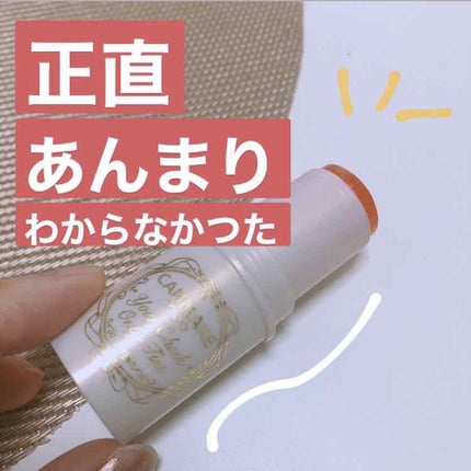 ユアチークオンリーティント/キャンメイク/ジェル・クリームチークを使ったクチコミ(1枚目)