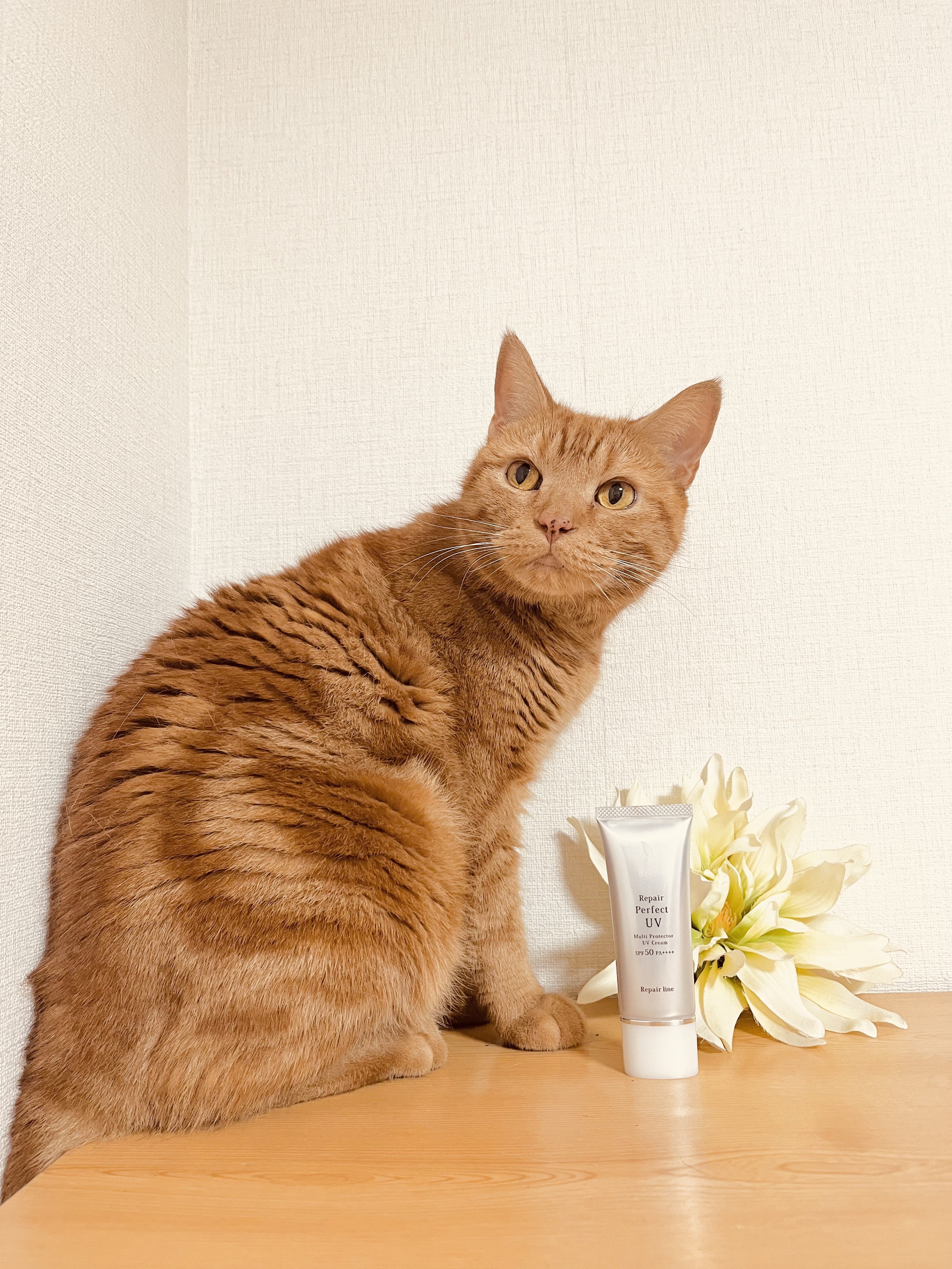 リソウ リペア パーフェクトUVクリーム/リソウコーポレーション/日焼け止めクリームを使ったクチコミ（1枚目）