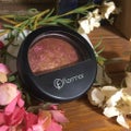 Terracotta Blush-On / flormar