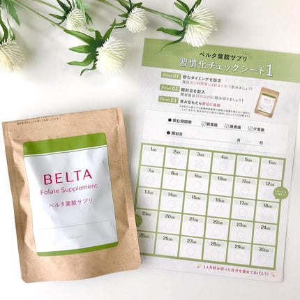 ベルタ葉酸サプリ/BELTA(ベルタ)/健康サプリメントを使ったクチコミ(3枚目)