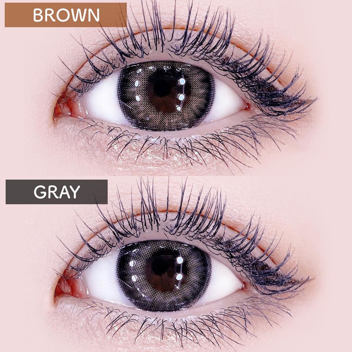 Sunny Cookie/chuu LENS/カラーコンタクトレンズを使ったクチコミ（3枚目）