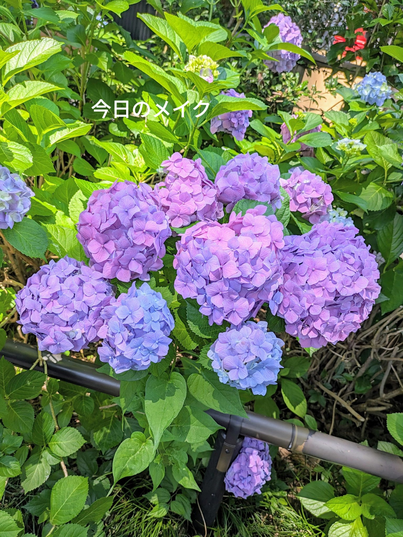 シェード アンド シャドウ パレット 01 SHADOW GALLERY/CLIO/アイシャドウパレットを使ったクチコミ（1枚目）