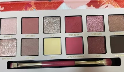 エクスプローラ12色 動物アイシャドウパレット/PERFECT DIARY/アイシャドウパレットを使ったクチコミ(2枚目)