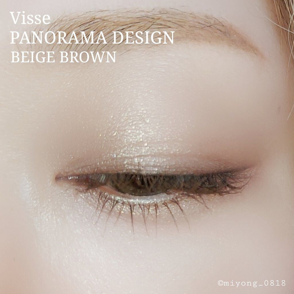 パノラマデザイン アイパレット/Visée/アイシャドウパレットを使ったクチコミ(4枚目)