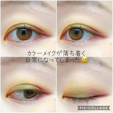 ルージュ アンリミテッド マット チリアンビション(限定)/shu uemura/口紅を使ったクチコミ（2枚目）