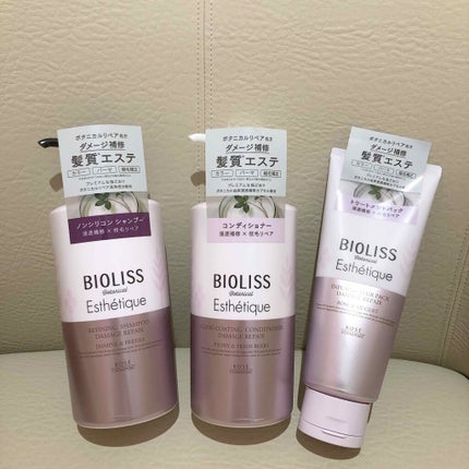 ボタニカル エステティーク インフュージング ヘアパック(ダメージリペア)/SSビオリス/ヘアマスク・ヘアパックを使ったクチコミ(1枚目)