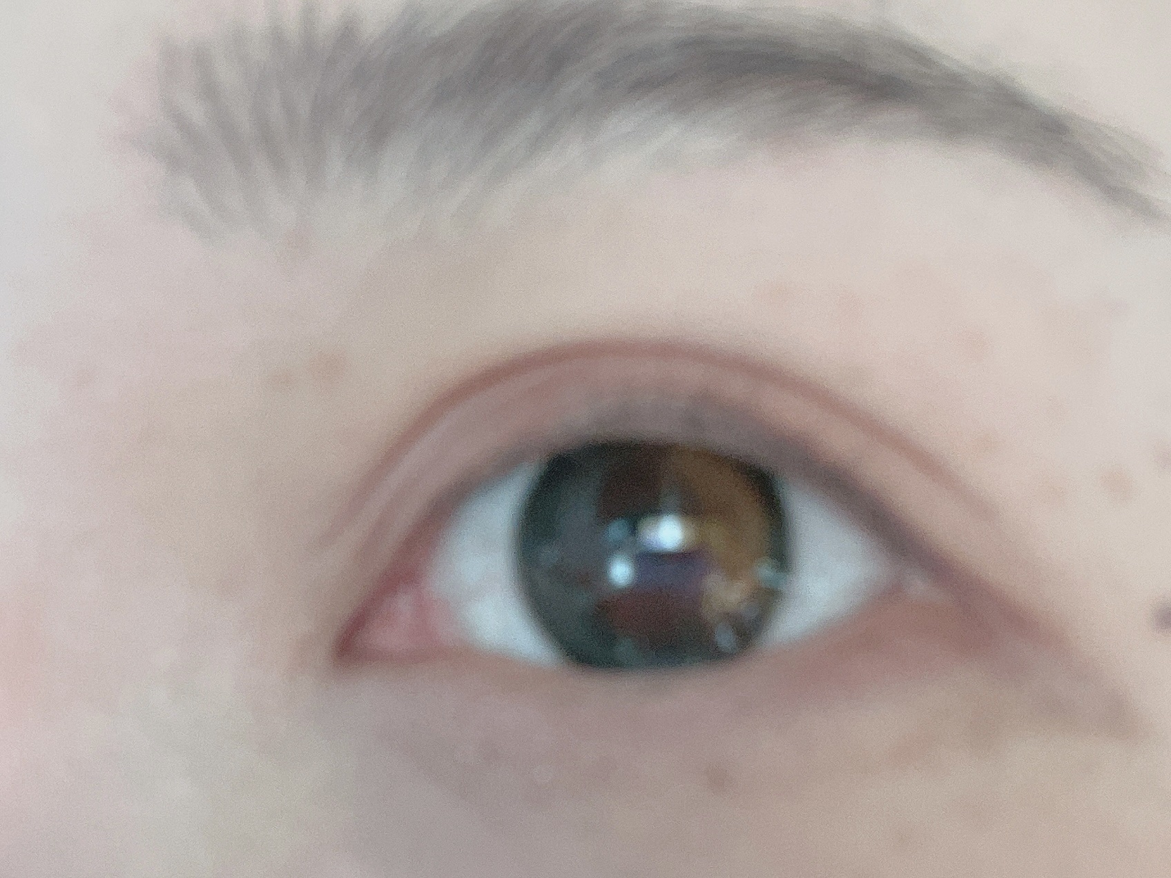 Secretive Kristen/Hapa kristin/カラーコンタクトレンズを使ったクチコミ（2枚目）