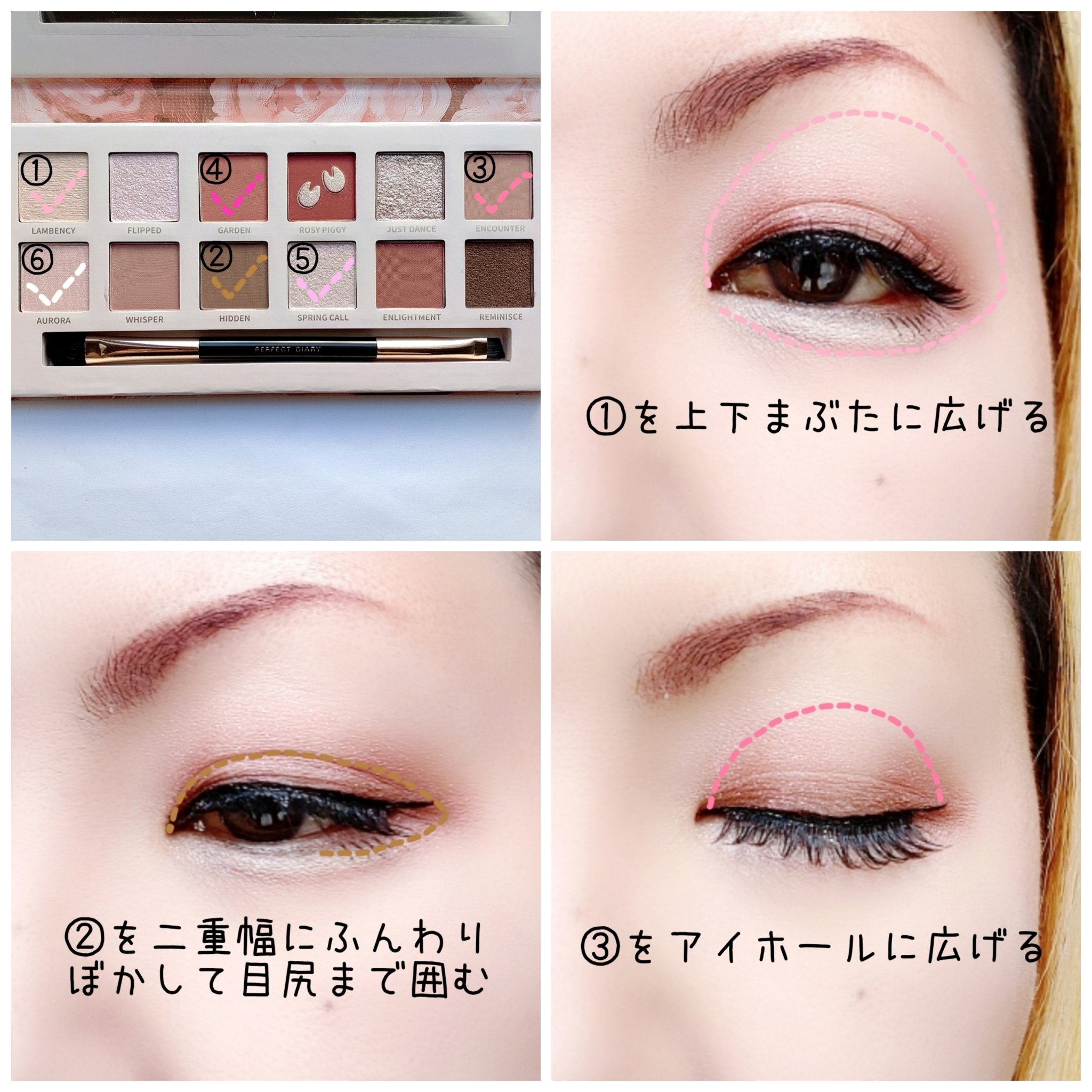 エクスプローラ12色 動物アイシャドウパレット/PERFECT DIARY/アイシャドウパレットを使ったクチコミ（2枚目）