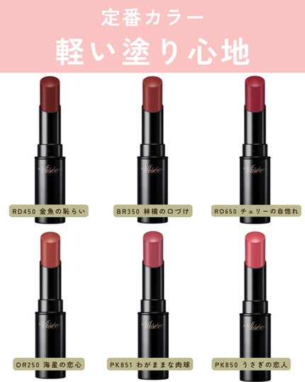 ヴィセ リシェ アイブロウパウダー/Visée/パウダーアイブロウを使ったクチコミ(5枚目)