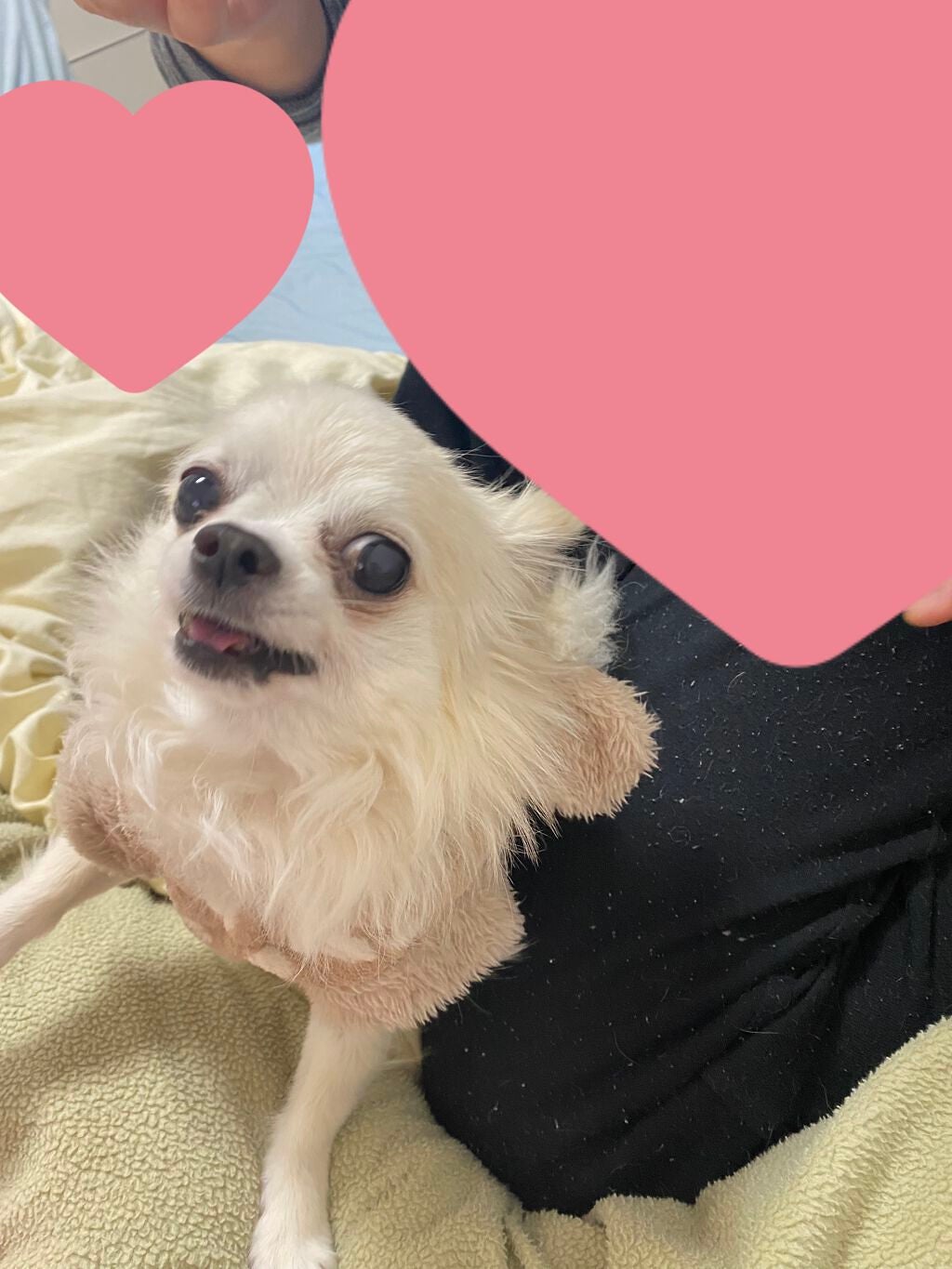 Just A Tint-Mini Duo/ColourPop/口紅を使ったクチコミ(10枚目)