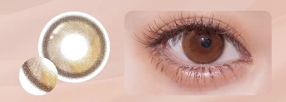 Ferenne 1day エクリンブラウン