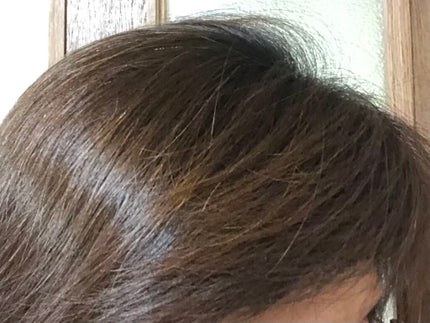 オーガニックジョセフィン シャンプー/トリートメント/ORGANIC JOSEFIN/市販シャンプーを使ったクチコミ(8枚目)