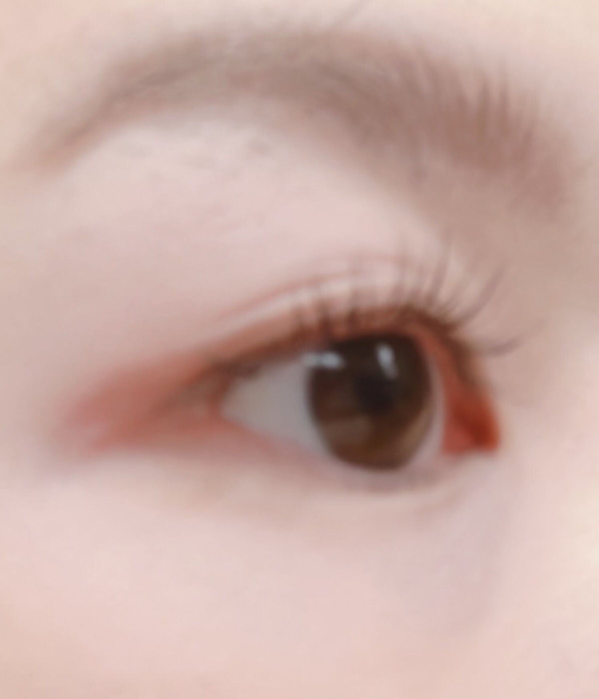 アイラッシュカーラー/セリア/ビューラーを使ったクチコミ(3枚目)