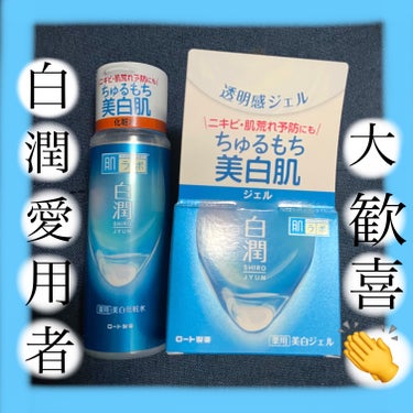 白潤薬用美白化粧水 170ml（ボトル）/肌ラボ/化粧水を使ったクチコミ（1枚目）