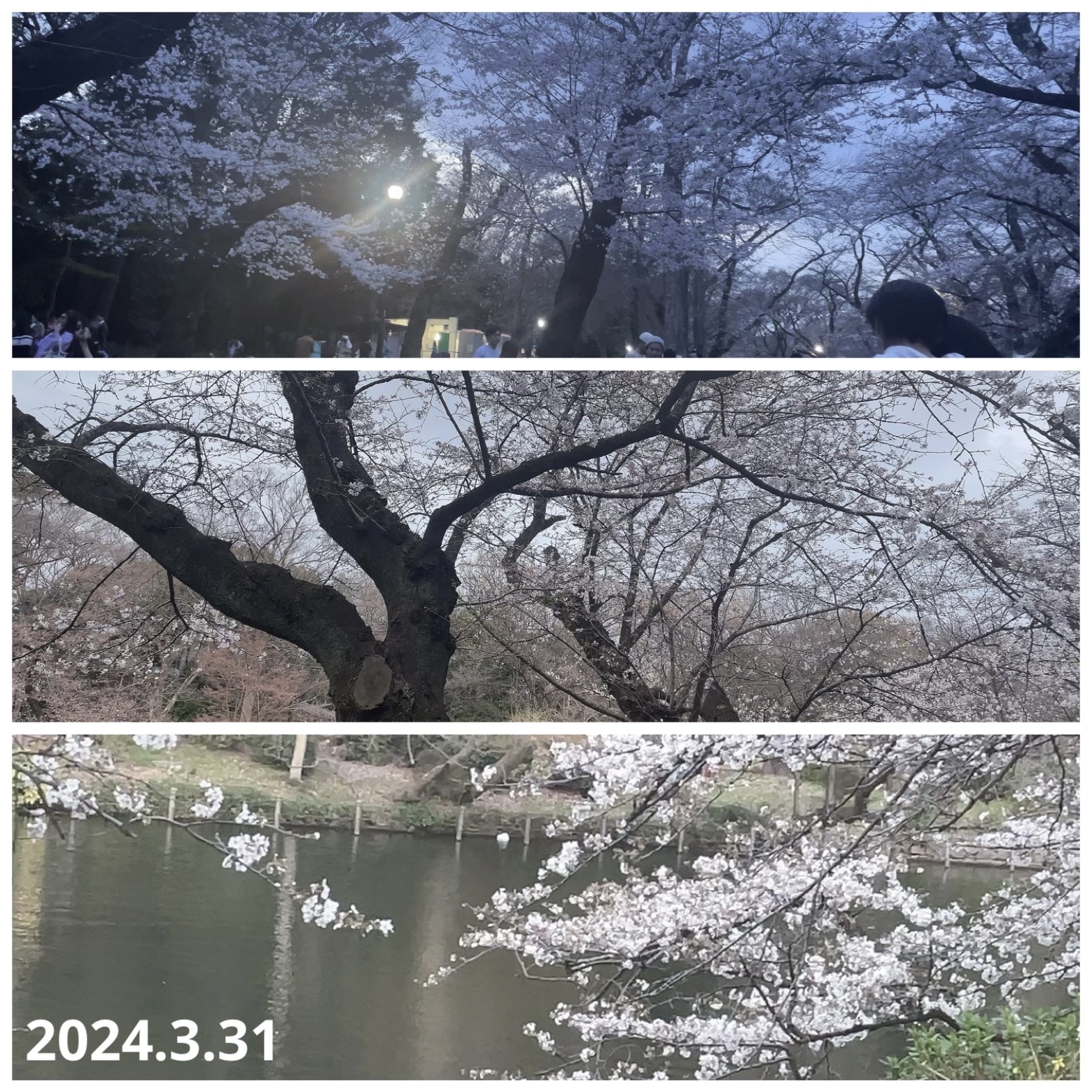 リアルラスティングアイライナー24hWPk /K-パレット/リキッドアイライナーを使ったクチコミ（3枚目）