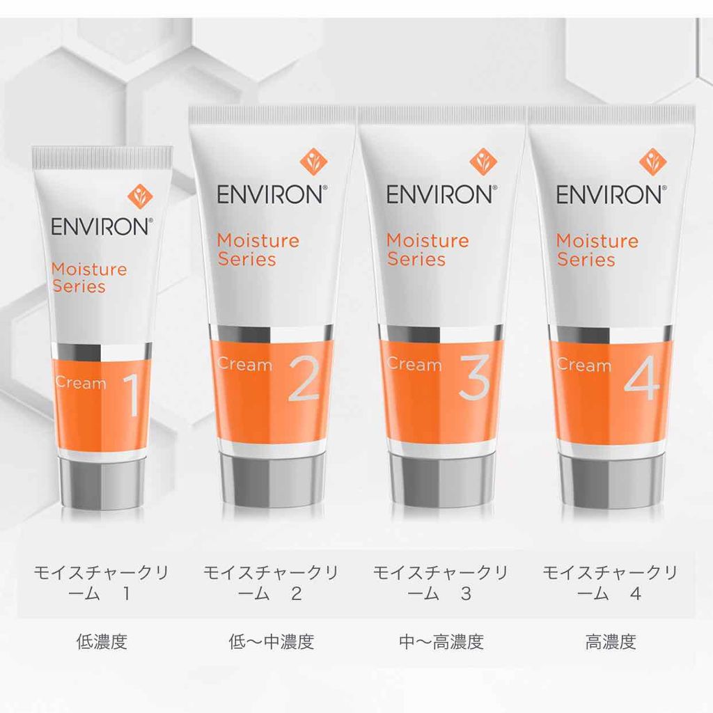 ヤマト 新品エンビロンENVIRON by ハル's shop｜ラクマ モイスチャージェル2&モイスチャークリーム2 の通販 のみご