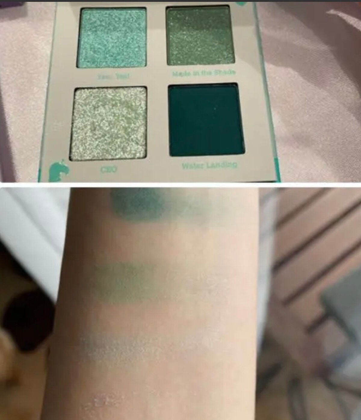 Nook Inc/ColourPop/アイシャドウパレットを使ったクチコミ(3枚目)