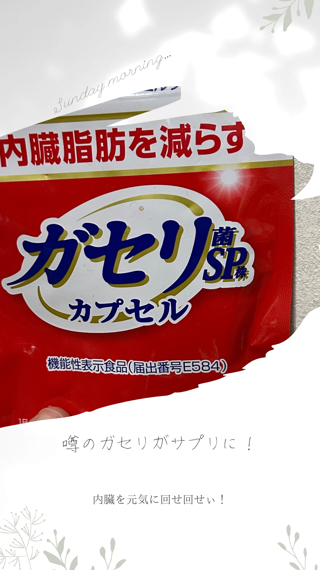 
✐☡✐☡✐☡✐☡✐☡✐☡✐☡✐☡✐☡✐☡✐☡✐☡✐☡✐☡✐

【商品名】

【販売元】

【特徴】

食事とともに摂取することで、肥満気味の方の内臓脂肪を減らす機能と、腸内環境を改善する機能があると報告されています。

カプセル3粒に10