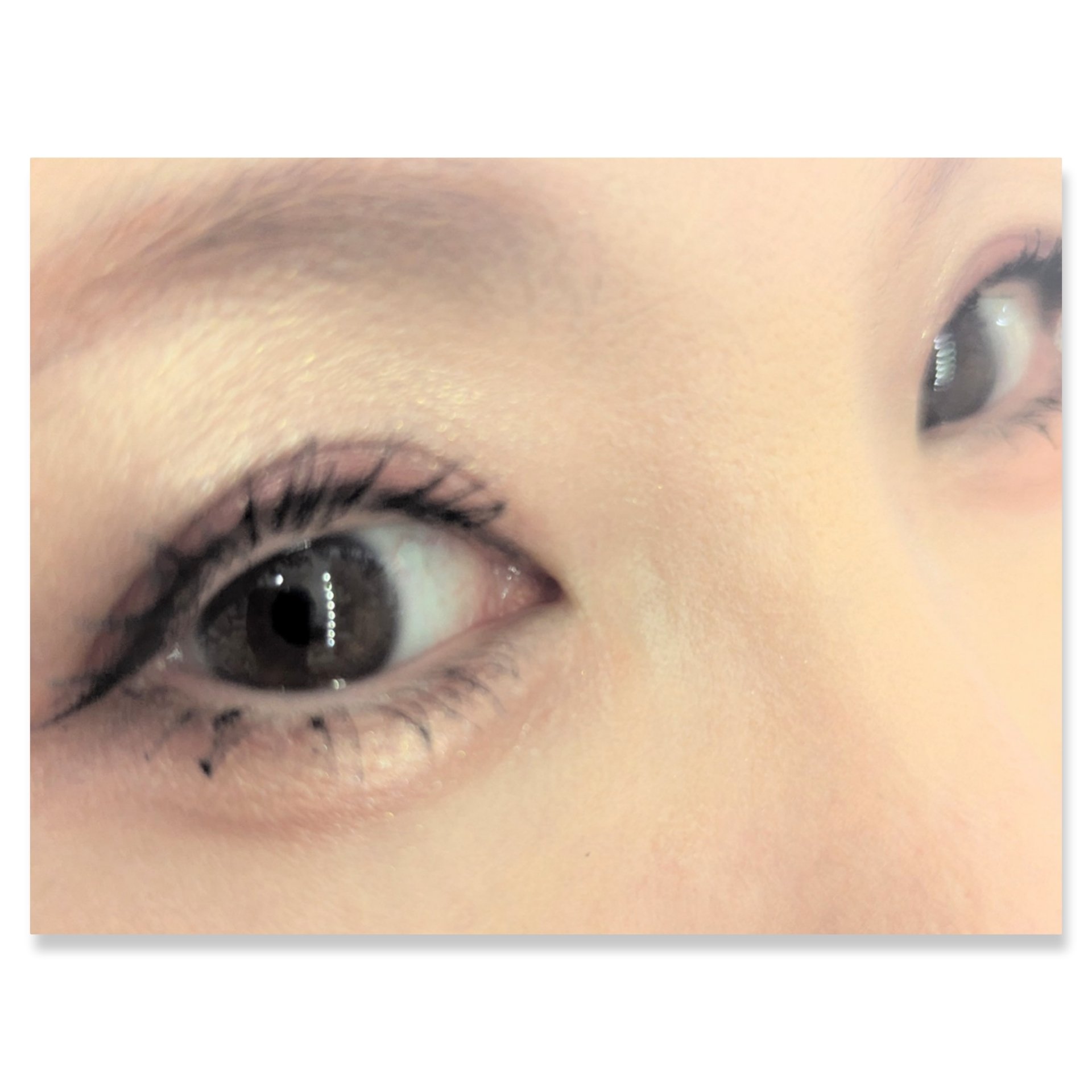 ワンダー スウィート アイシャドウ 005 甘酸っぱく自由なクランベリーラテショコラ/リンメル ロンドン/アイシャドウパレットを使ったクチコミ（2枚目）