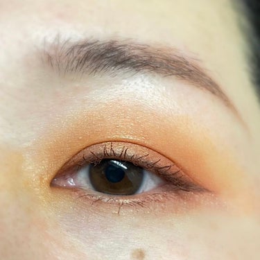 Bronzed Rustic Eyeshadow Palette/Juvia's Place/アイシャドウパレットを使ったクチコミ（4枚目）