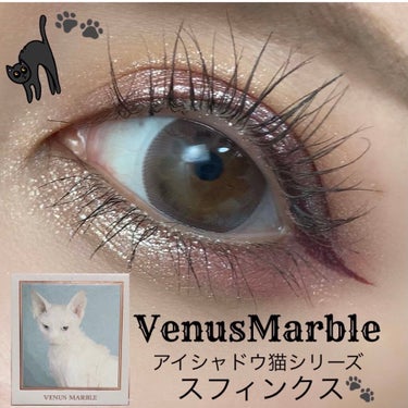 Venus Marble アイシャドウキャットシリーズ/Venus Marble/パウダーアイシャドウを使ったクチコミ（1枚目）