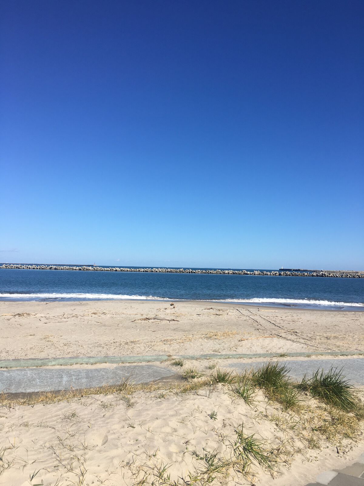 ライトブルー ボディクリーム/DOLCE&GABBANA BEAUTY/ボディクリームを使ったクチコミ（2枚目）