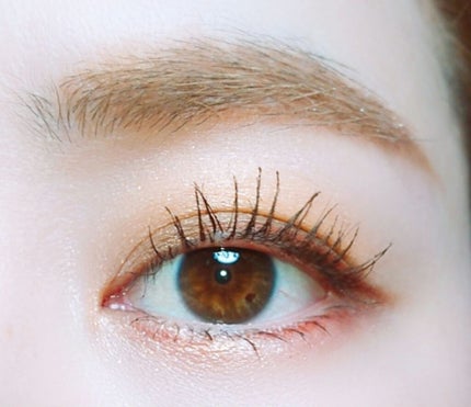 リアルクローズシャドウ/excel/アイシャドウパレットを使ったクチコミ(1枚目)