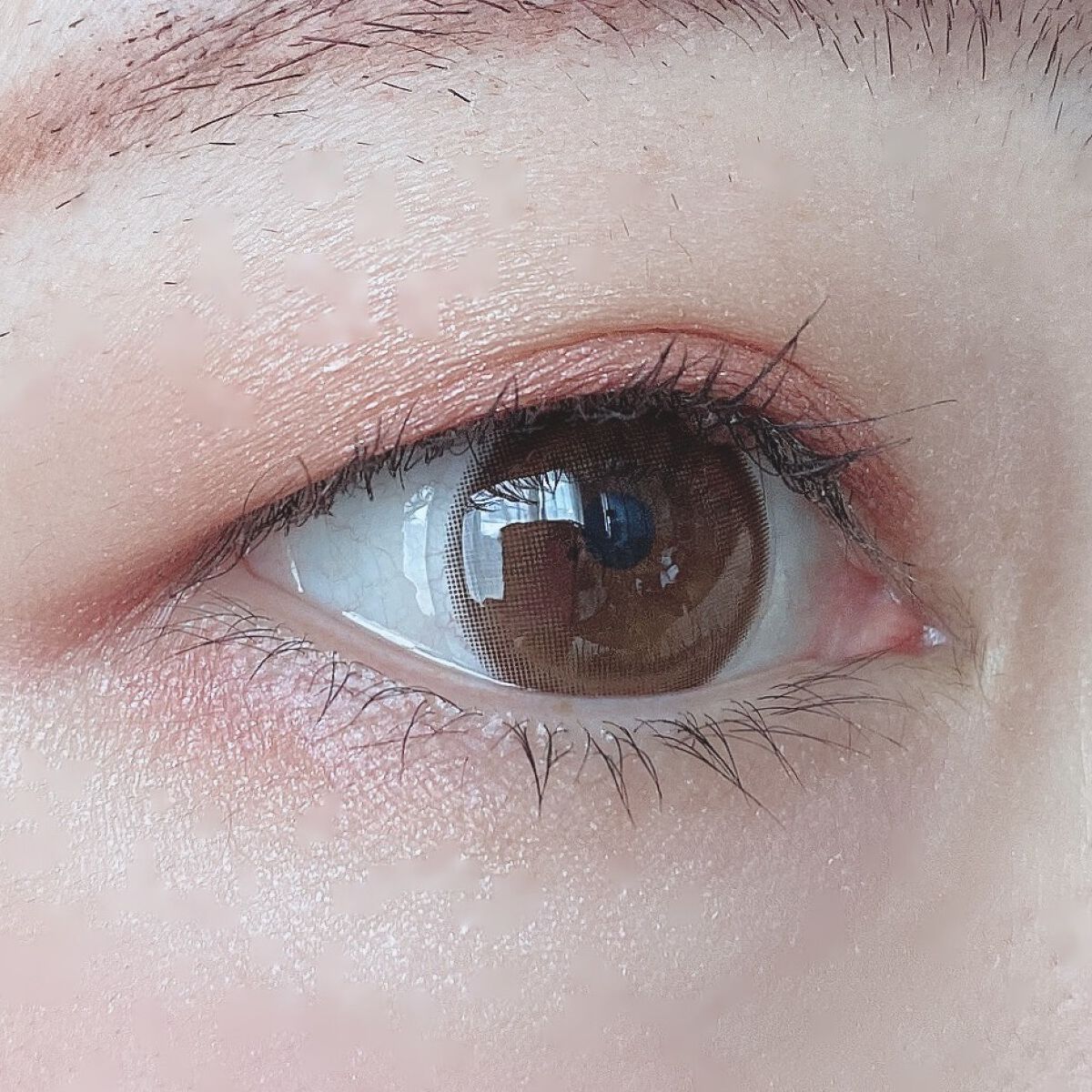 ワンダー エバー アイシャドウ 001　ロージーロマンス/リンメル ロンドン/アイシャドウパレットを使ったクチコミ（3枚目）