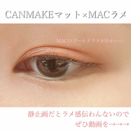 ピグメント/M・A・C/単色アイシャドウを使ったクチコミ(1枚目)