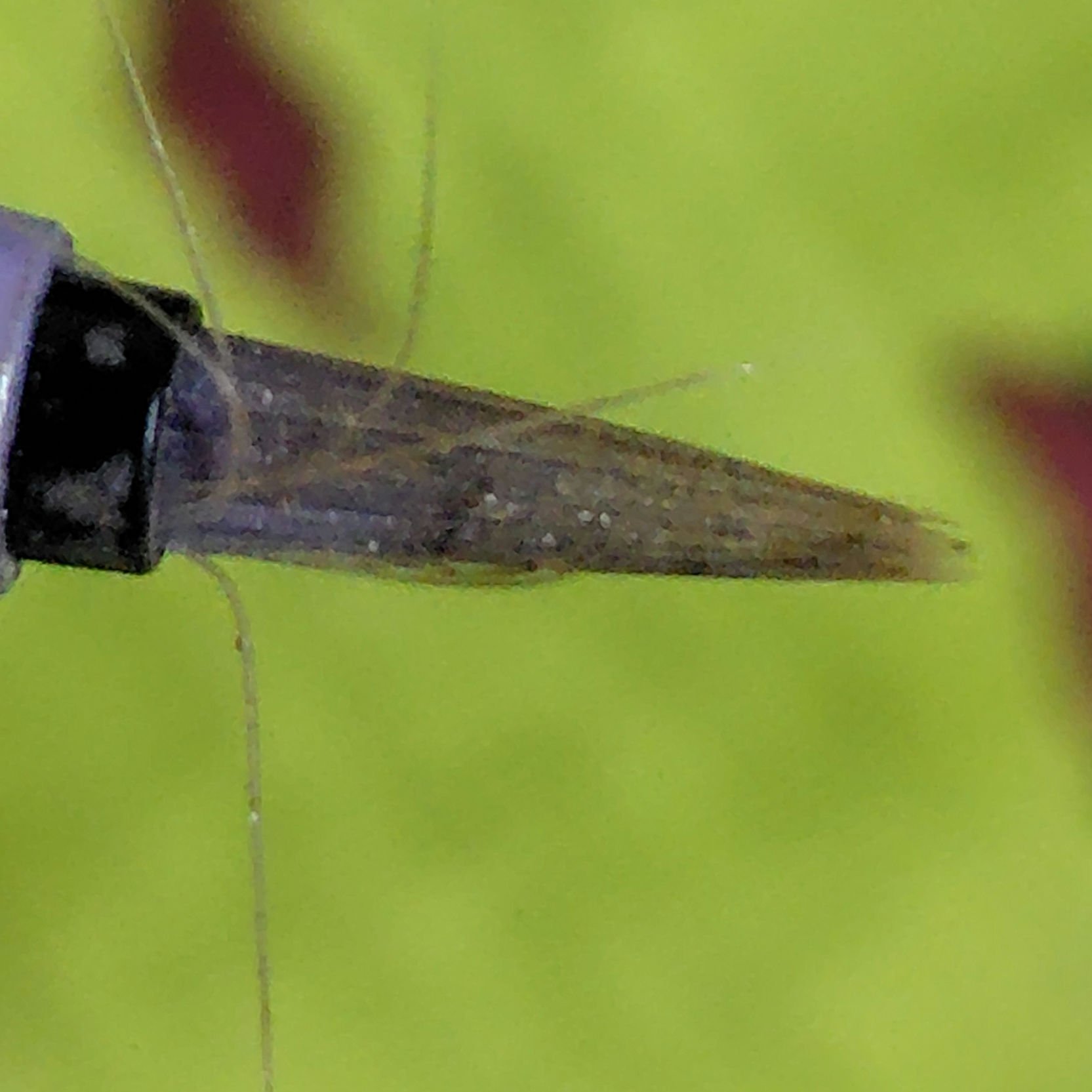 プライムリキッドアイライナー リッチジュエル/ヒロインメイク/リキッドアイライナーを使ったクチコミ（3枚目）