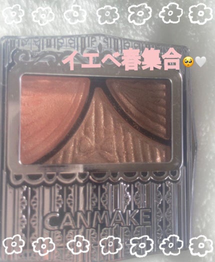 ジューシーピュアアイズ/キャンメイク/アイシャドウパレットを使ったクチコミ(1枚目)